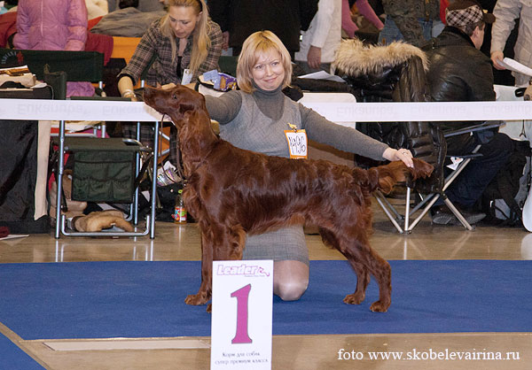 Russian Dog Show "L.P.Sabaneev's Memory"