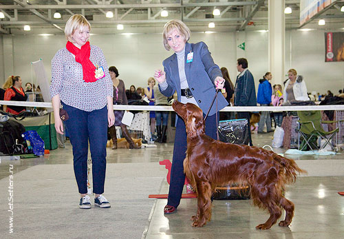 International dog show "Russia-2012"