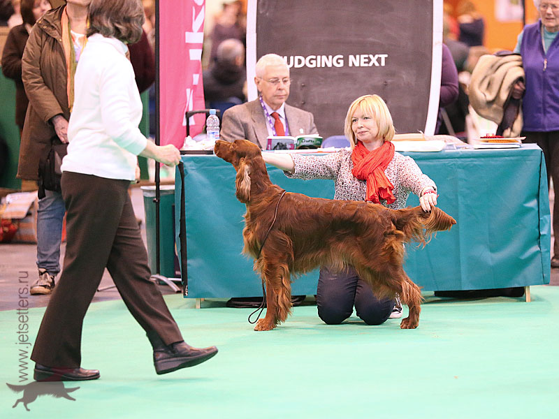 Crufts