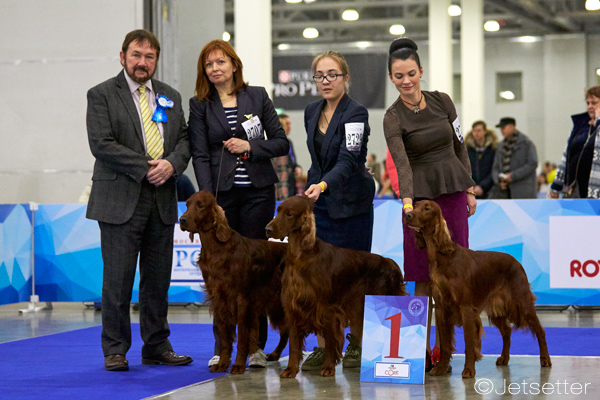 International Dog Show "Russia-2017"
