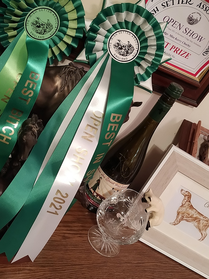The Irish Setter Association, England